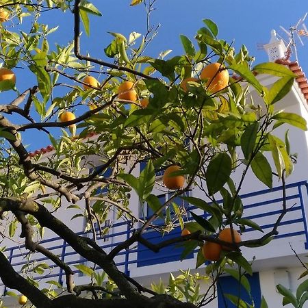 Casa D'Avo Apartment Lozenets Ngoại thất bức ảnh